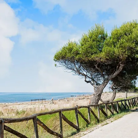 Beachfront Flat With Terrace Bibione