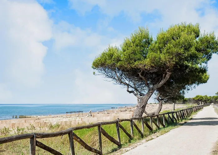 Beachfront Flat With Terrace 비비오네
